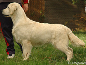 A'brisa du Domaine des Rives de l'Erdre
