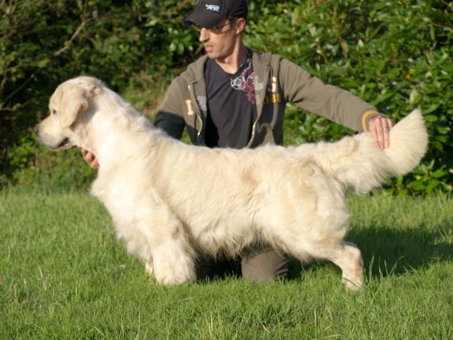 United color du Domaine des Rives de l'Erdre