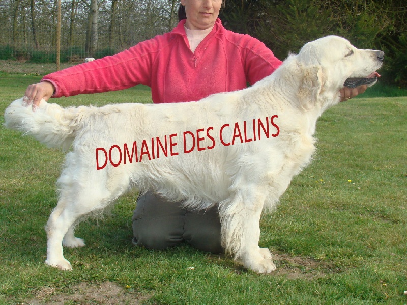 Canoon du Domaine des Rives de l'Erdre