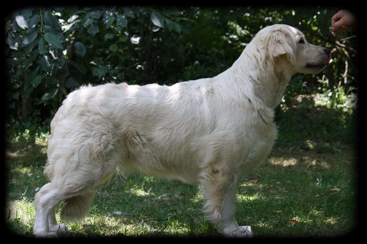 Edenn du Domaine des Rives de l'Erdre