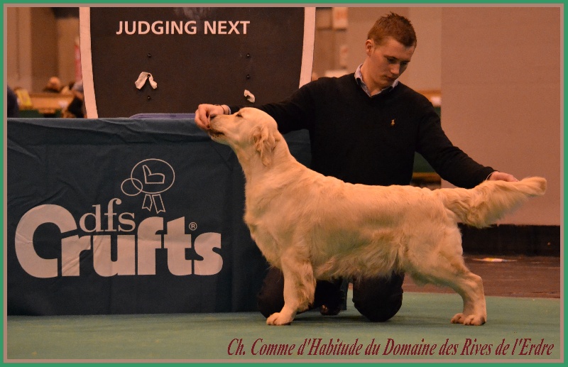 TR. CH. Comme d'habitude du Domaine des Rives de l'Erdre