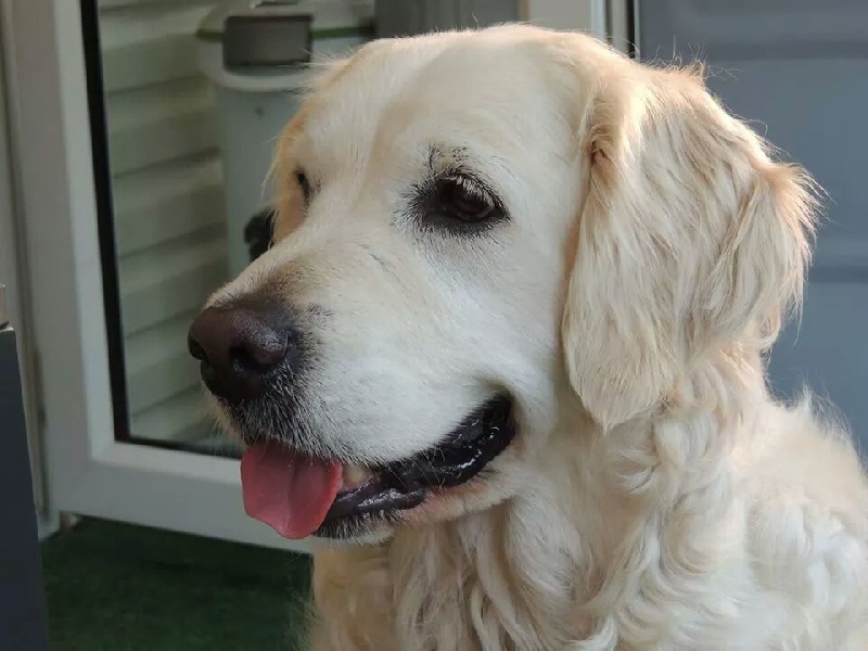 Diam's du Domaine des Rives de l'Erdre